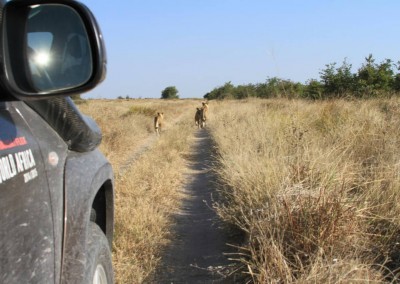 botswana_2015_07